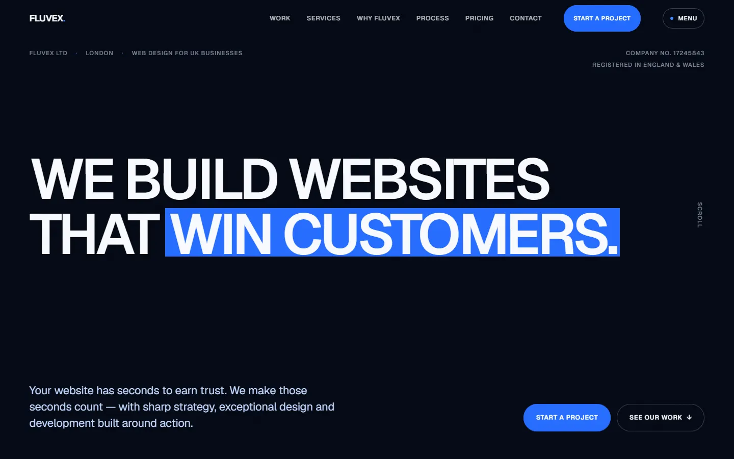 Fluvex LTD — agency website hero